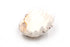 strawberry clam
